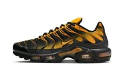 Nike Air Max Plus Black Sundial
