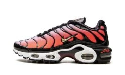 Nike Air Max Plus Sisterhood