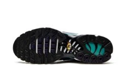 Nike Air Max Plus White Grape Ice -Chaussure Boutique air max plus white grape ice 970611