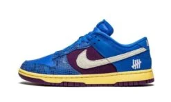 Nike Dunk Low Undefeated 5 On It