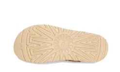 Ugg Goldenstar Clog Driftwood 7 Ugg Goldenstar Clog Driftwood -Chaussure Boutique goldenstar clog driftwood 364762